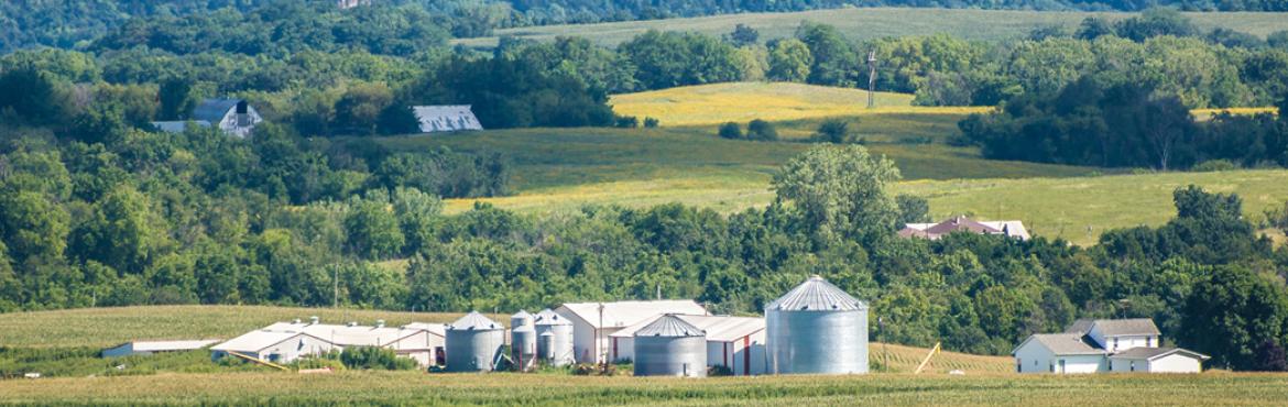 Iowa Farm